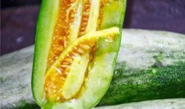 网红小雨吃瓜,揭秘娱乐圈幕后真相